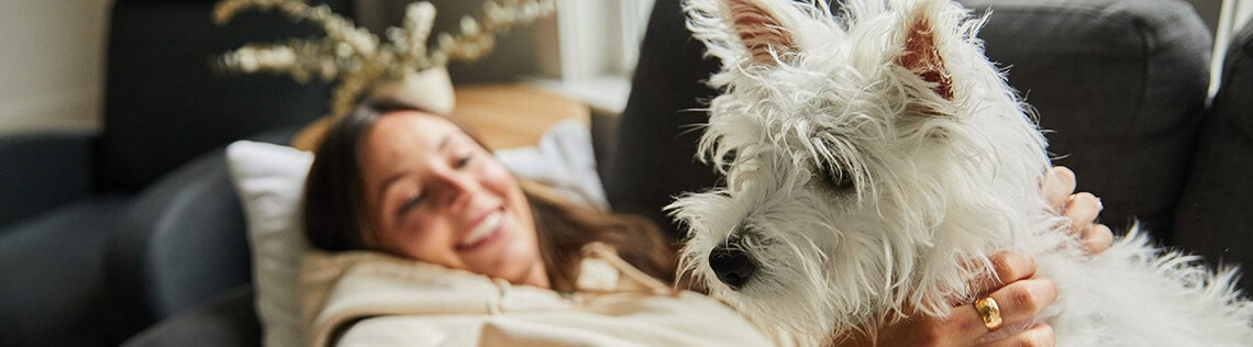 Do dogs love their owners