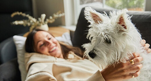 Do dogs love their owners image