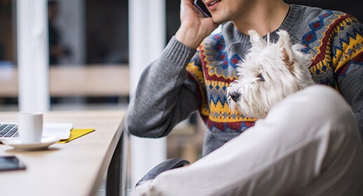 How to Introduce Dogs and Help Them Socialise with New People image
