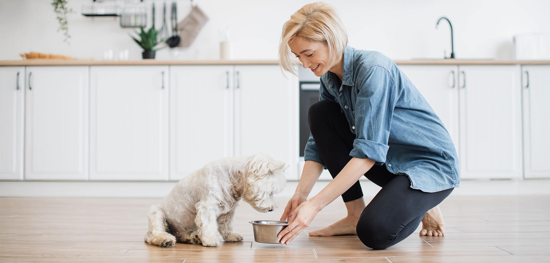 Dog-friendly FEEDING