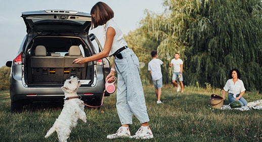 A girl feeds a small white Westie dog a treat, while her siblings play in the background and her mother watches on from a nearby picnic blanket. image