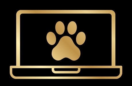 DOG-FRIENDLY OFFICES