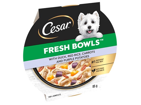 What Type of Dog is on the Cesar Dog Food: Discover the Iconic Breed