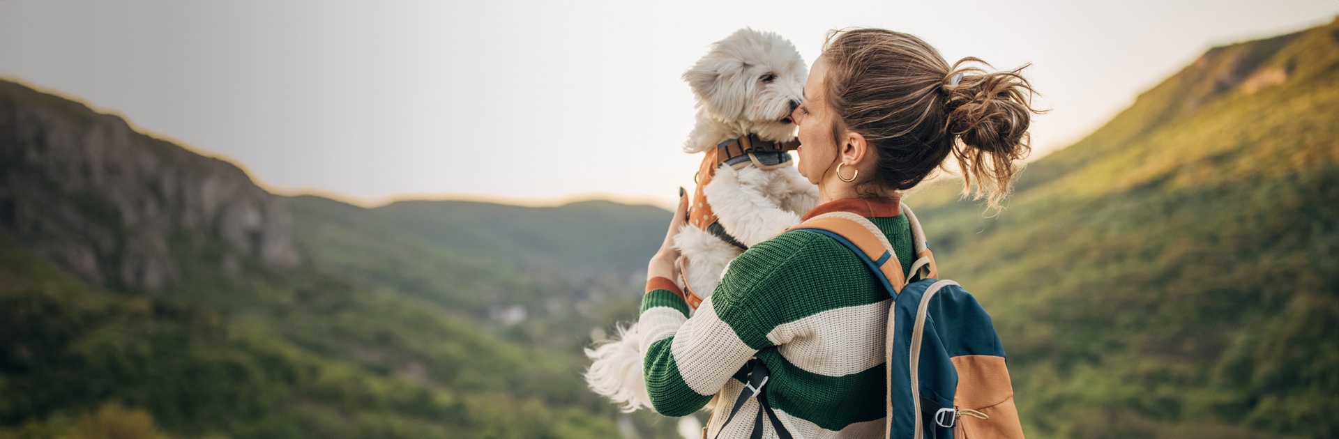 Discover a dog friendly world