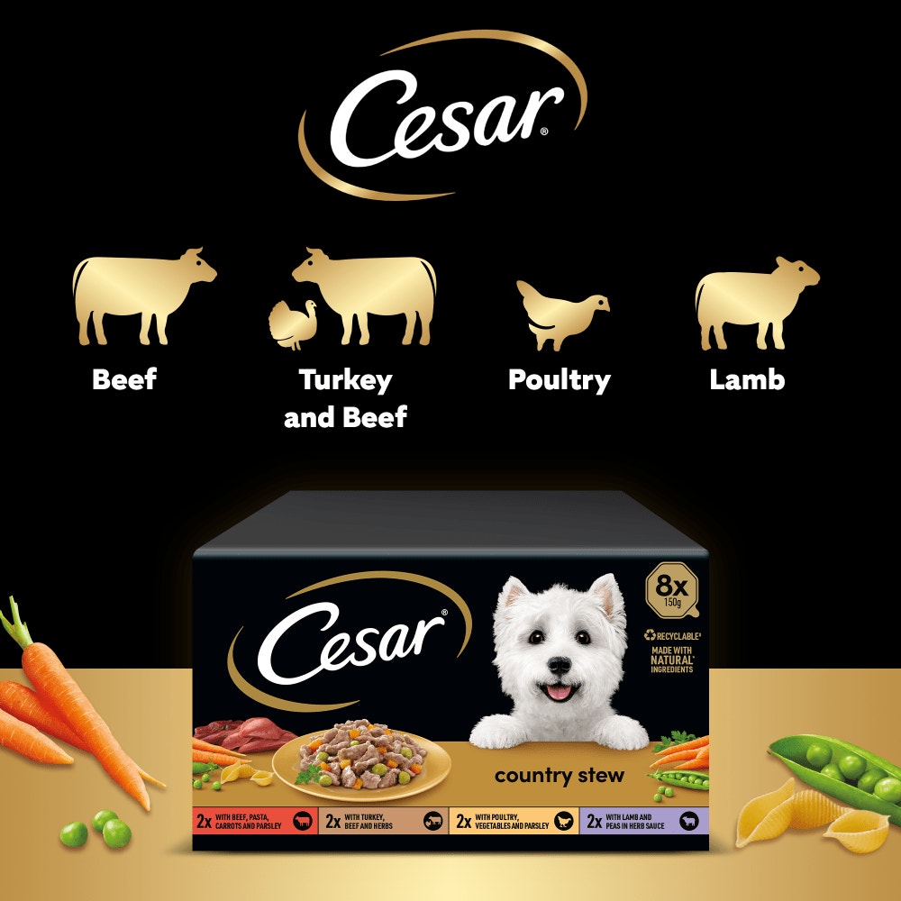 CESAR® Country Stew Variety Pack, Tray - 5