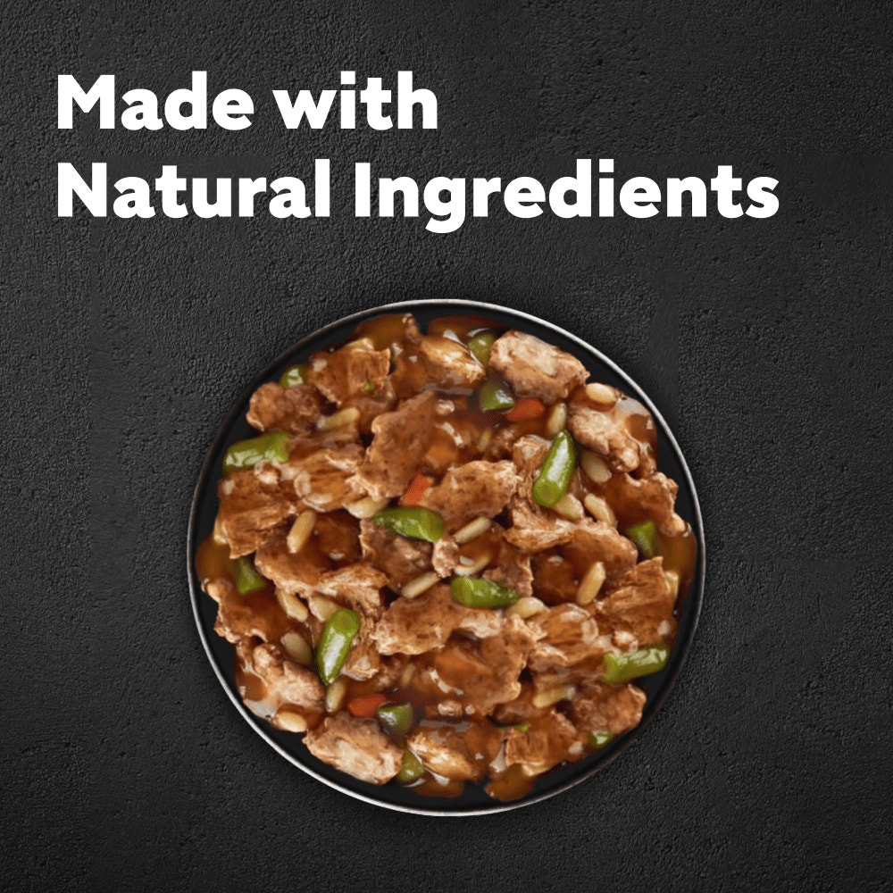 CESAR® NATURAL GOODNESS™ Wholegrain Casserole Wet Dog Food Tins - 2