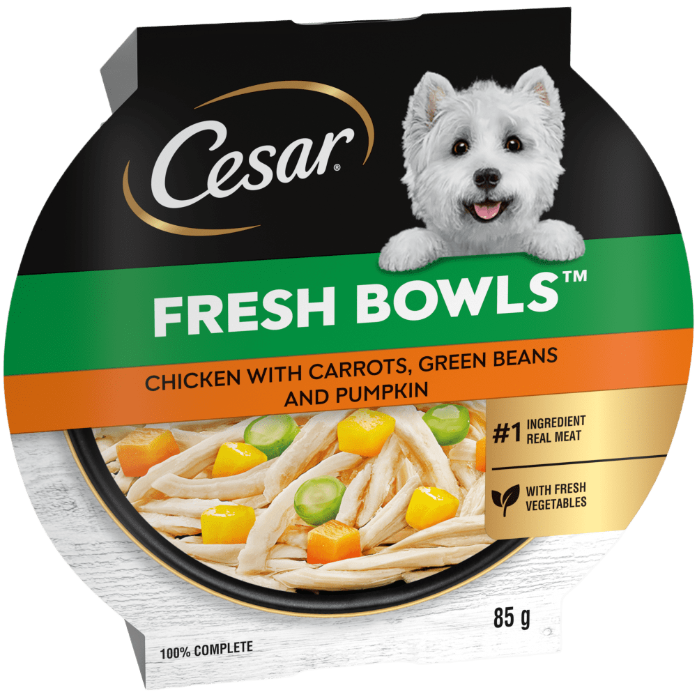 CESAR® Fresh Bowl Adult Wet Dog Food with Chicken in Gravy 85g - 1