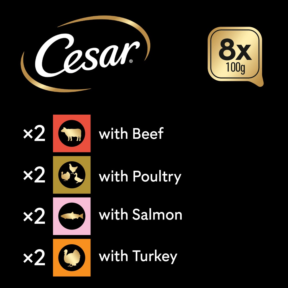 CESAR® NATURAL GOODNESS™ Grain Free Wet Dog Food in Terrine - 6