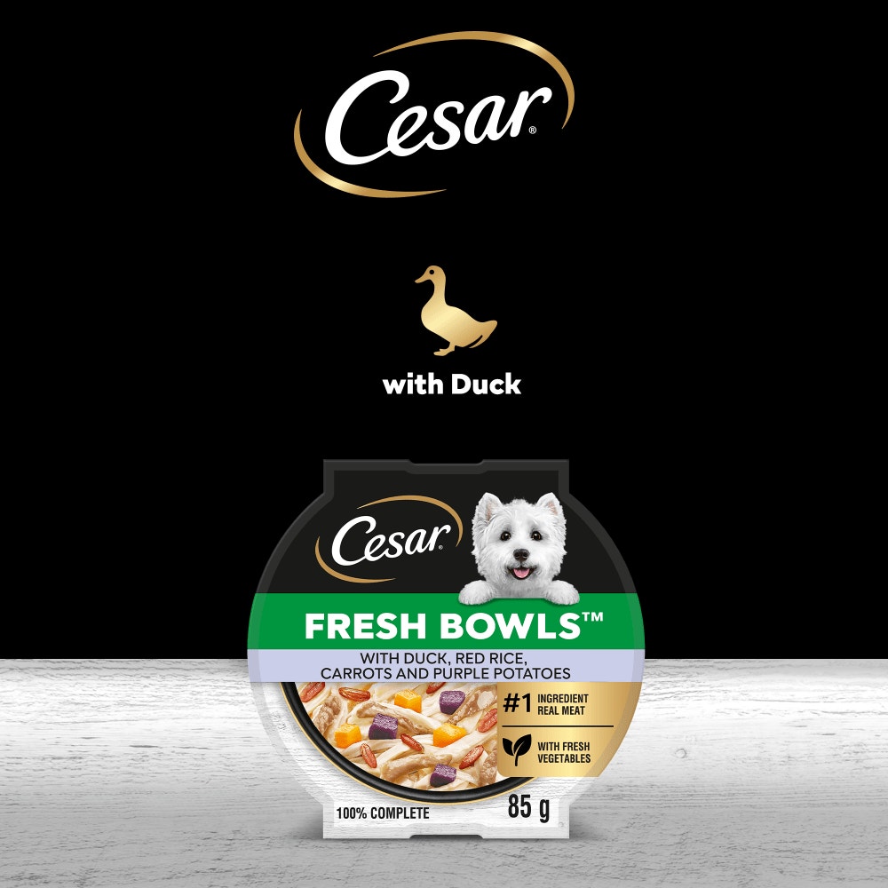CESAR® Fresh Bowl Adult Dog with Duck,Red Rice,Carrots,Potato in Gravy 85g - 5