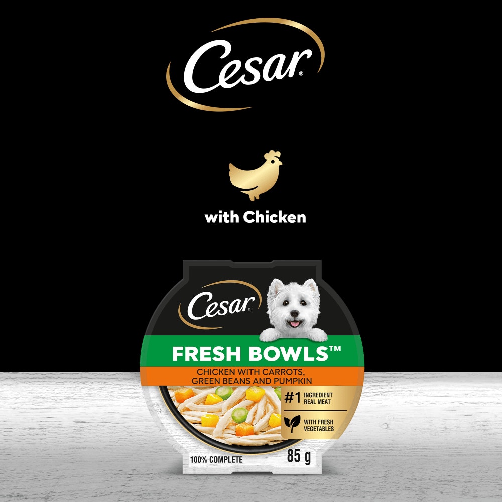 CESAR® Fresh Bowl Adult Dog with Chicken,Carrots,Beans,Pumpkin in Gravy 85g - 5