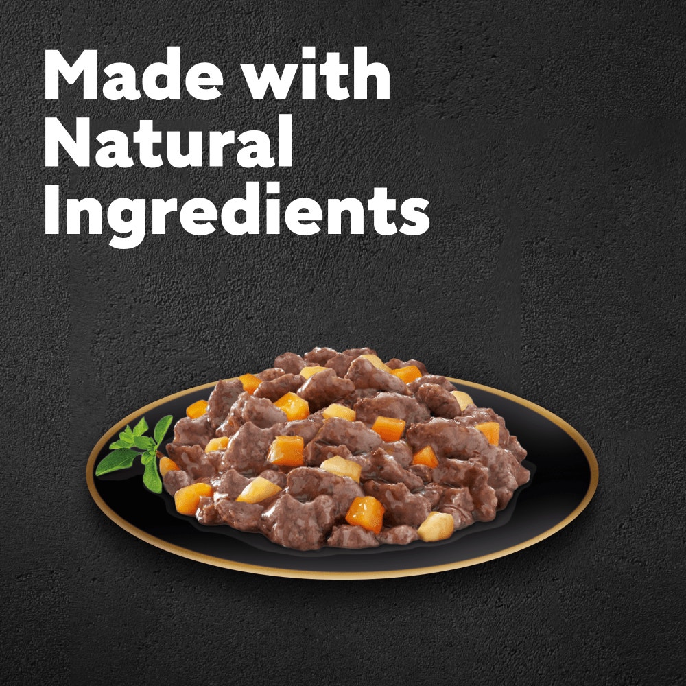 CESAR® Juicy Hotpot Adult Wet Dog Food Trays Mixed in Gravy 8 x 150g - 2