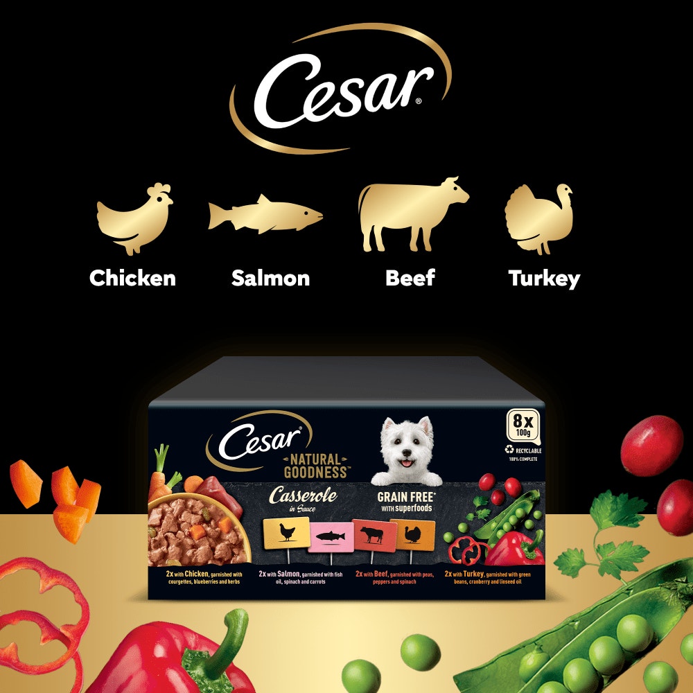 CESAR® NATURAL GOODNESS™ Grain Free Wet Dog Food in Casserole - 5