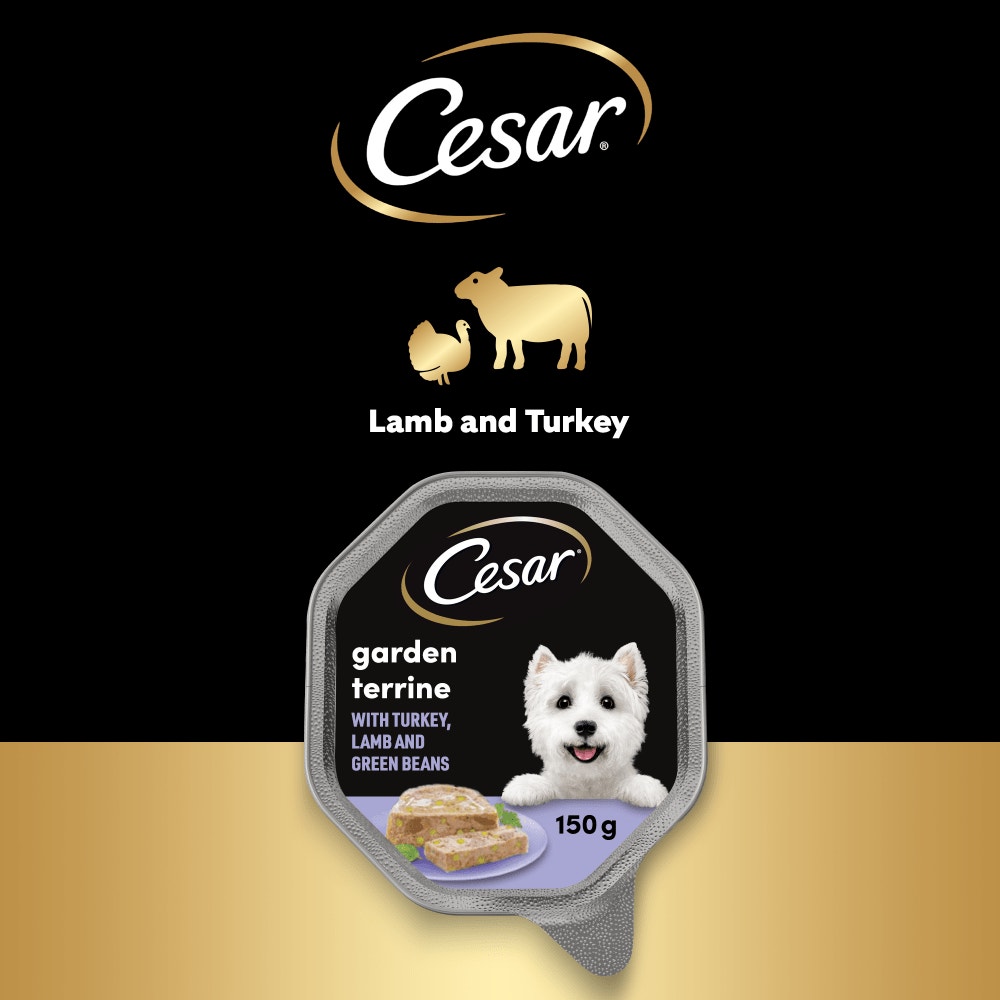 CESAR® Garden Terrine Dog Food Tray Lamb, Turkey & Green Beans in Loaf 150g - 4