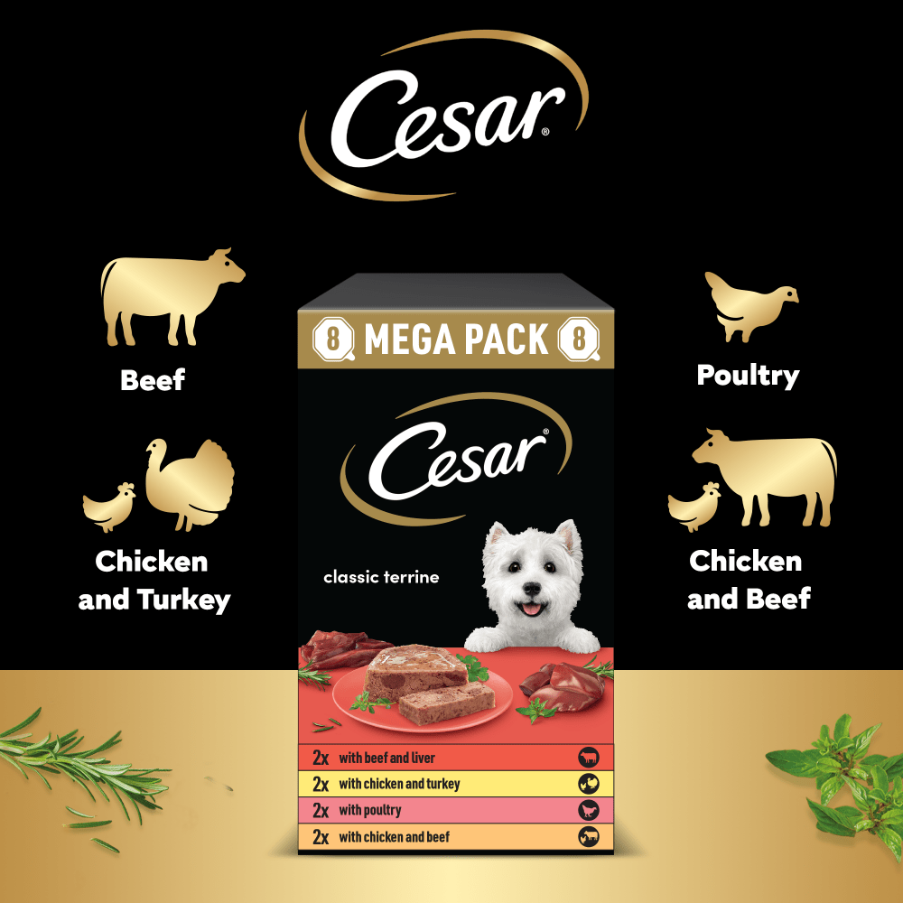 CANAILLOU (INTERMARCHÉ) TERRINE POUR CHAT AU POULET ET AUX PETITS POIS test en review - Testaankoop