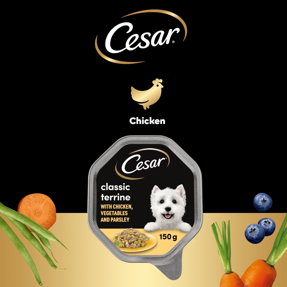 CESAR® Country Stew Adult Wet Dog Food Tray Chicken & Veg in Gravy 150g - 5