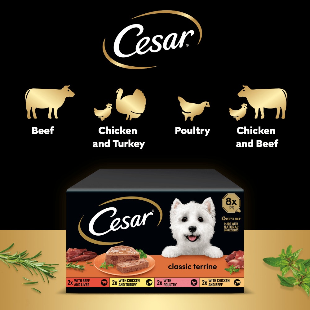 CESAR® Classic Terrine Variety Pack, Tray - 5