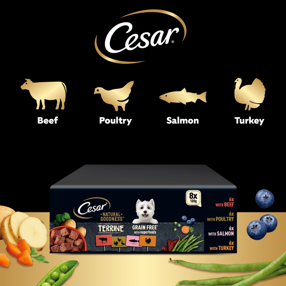 CESAR® NATURAL GOODNESS™ Grain Free Wet Dog Food in Terrine - 5
