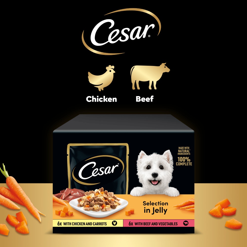 CESAR® Deliciously Fresh Dog Food Pouches Mixed Selection in Jelly 12 x 100g - 5