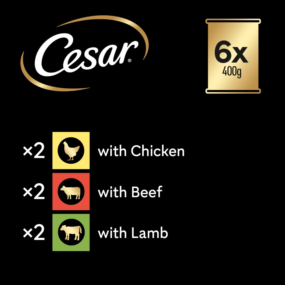 CESAR® NATURAL GOODNESS™ Grain Free Wet Dog Food Tins in Loaf - 6