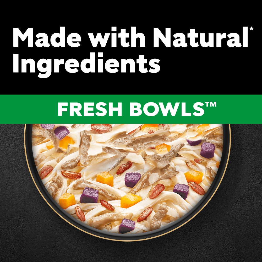 CESAR® Fresh Bowl Adult Dog with Duck,Red Rice,Carrots,Potato in Gravy 85g - 2