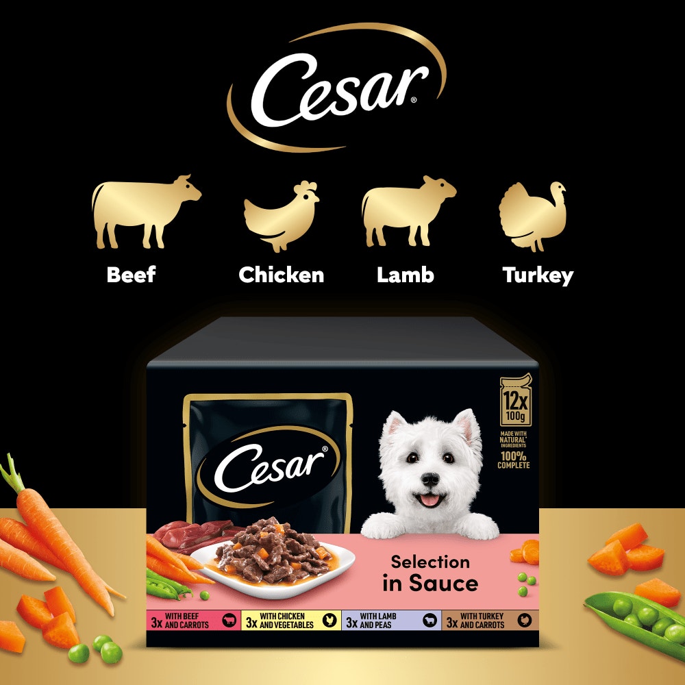 CESAR® Deliciously Fresh Dog Food Pouches Mixed Selection in Sauce - 5