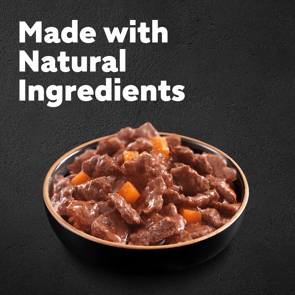 barking heads wet dog food Barking Heads Chop Lickin' Adult Wet Dog Food in Pouches main image 1