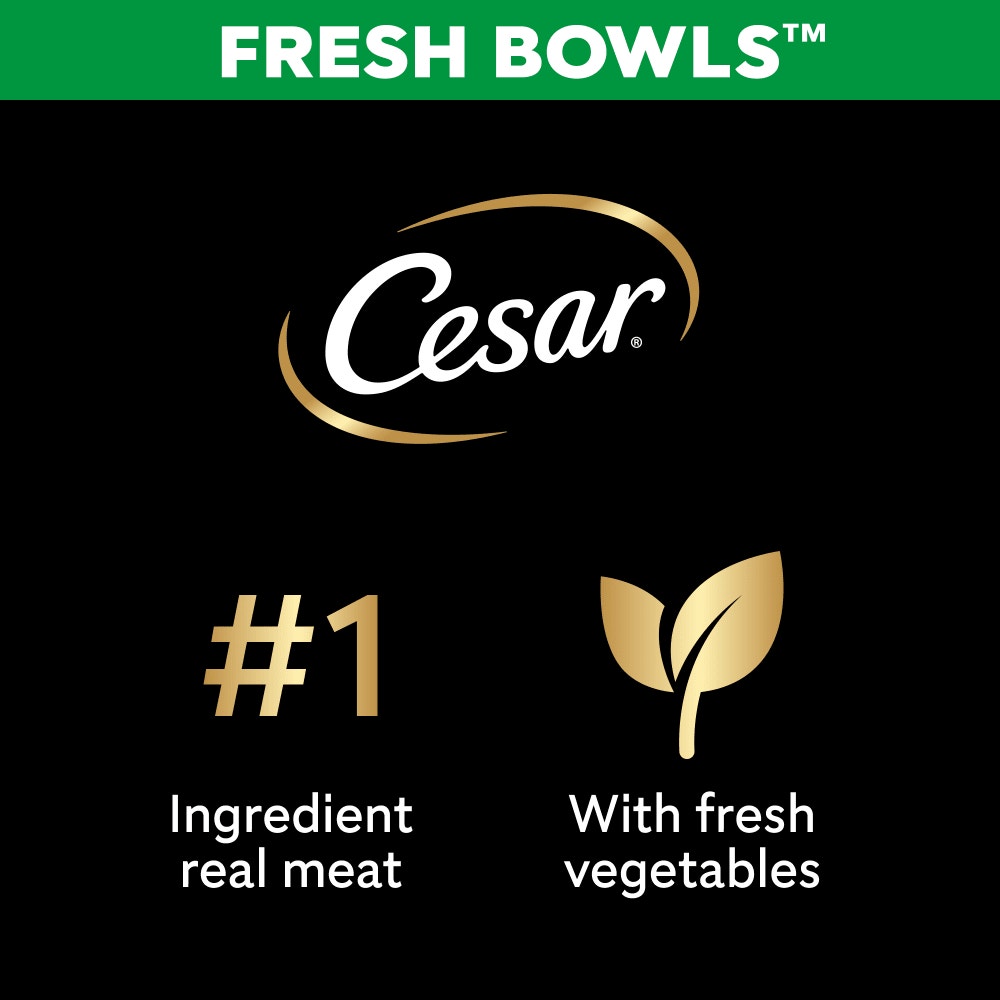 CESAR® Fresh Bowl Adult Dog with Chicken,Carrots,Beans,Pumpkin in Gravy 85g - 3