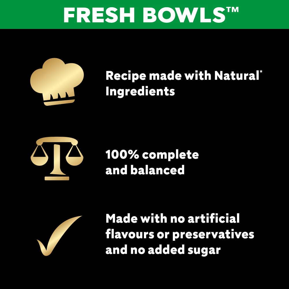 CESAR Fresh bowls Chicken and Poultry in Gravy 6x85g - 4