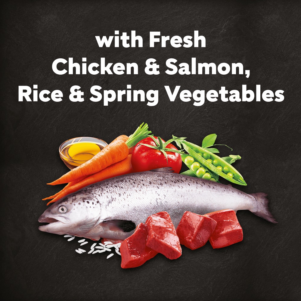 Cesar Dog Complete Dry with Chicken, Salmon and Vegatables 7kg, 1.4kg - 4