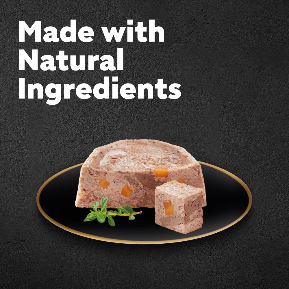 CESAR® Garden Terrine Dog Food Tray Mixed in Loaf 8 x 150g - 2