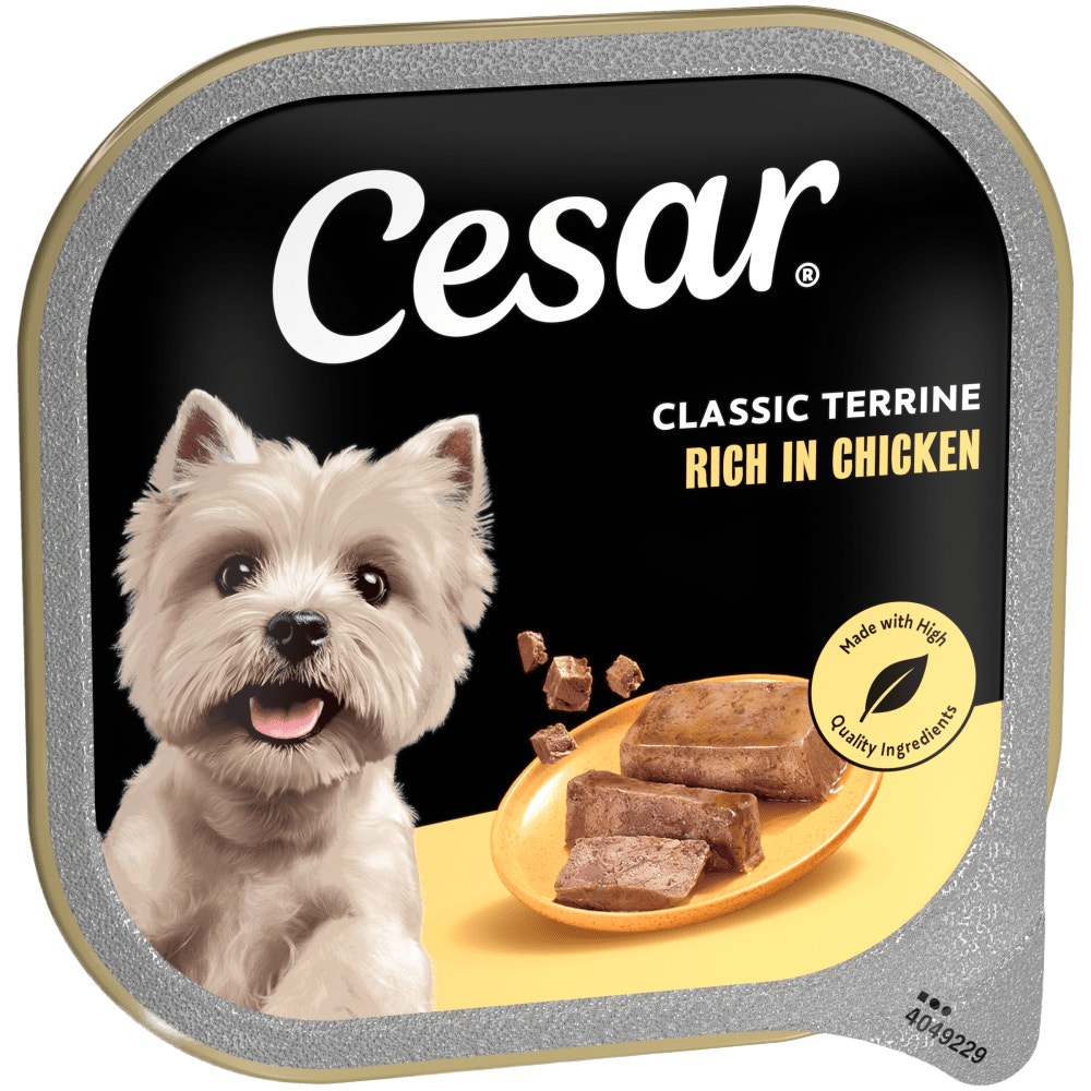 Cesar Classic Terrine Wet Dog Food tray Rich in Chicken in Loaf 300g - 1