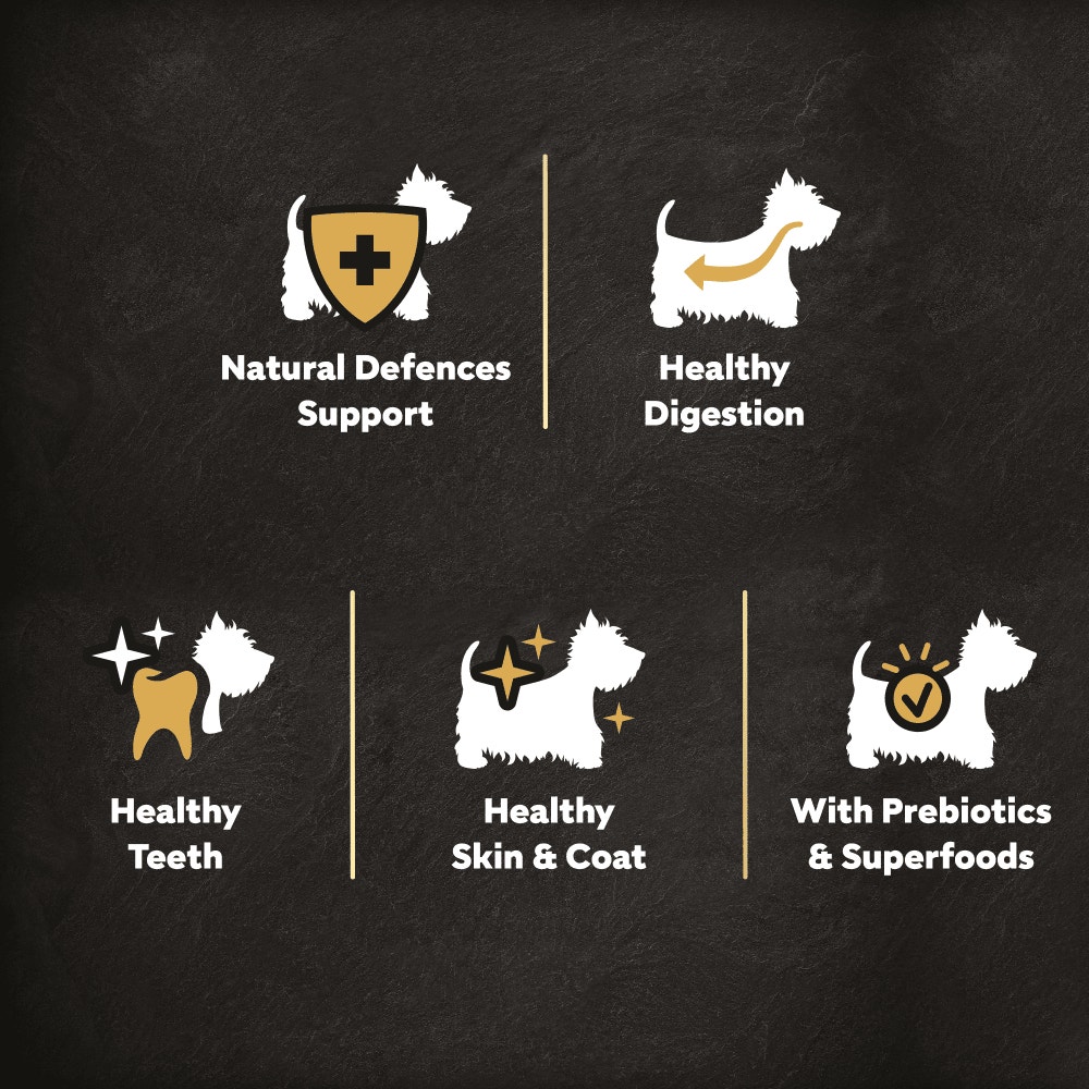 Cesar Dog Complete Dry with Chicken, Salmon and Vegatables 7kg, 1.4kg - 3