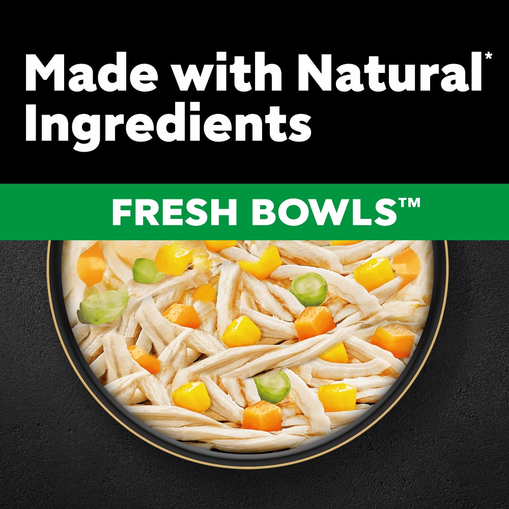 CESAR Fresh bowls Chicken and Poultry in Gravy 6x85g - 2