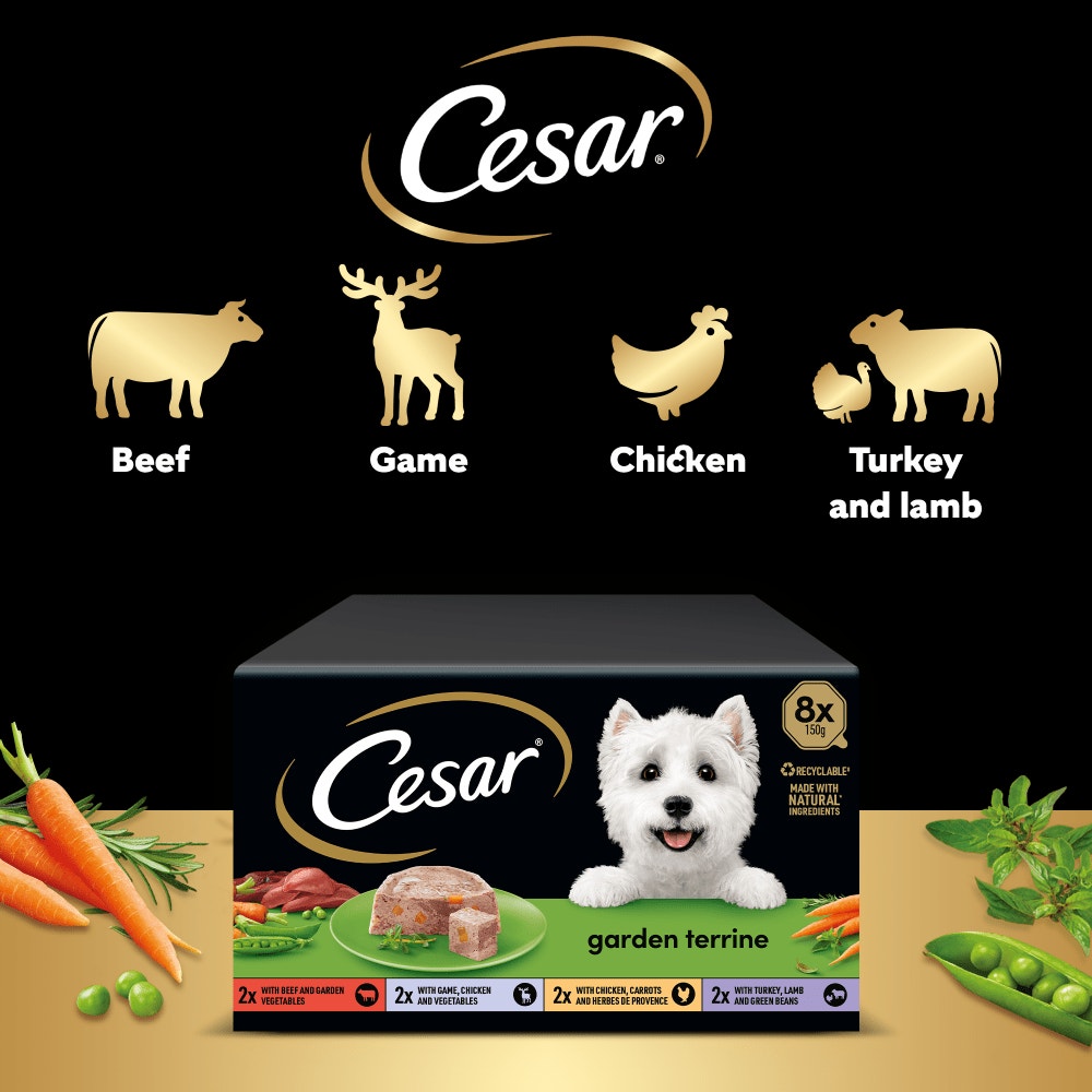 CESAR® Garden Terrine Dog Food Tray Mixed in Loaf 8 x 150g - 5