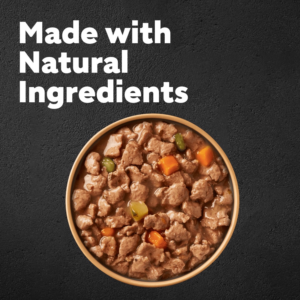 CESAR® NATURAL GOODNESS™ Grain Free Wet Dog Food in Casserole - 2