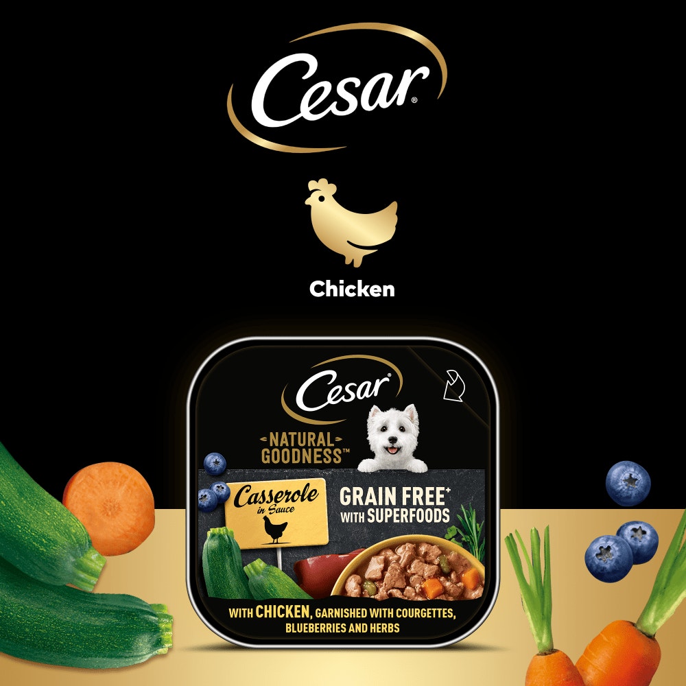CESAR® NATURAL GOODNESS™ Grain Free Dog Food Casserole with Chicken 100g Tray - 5