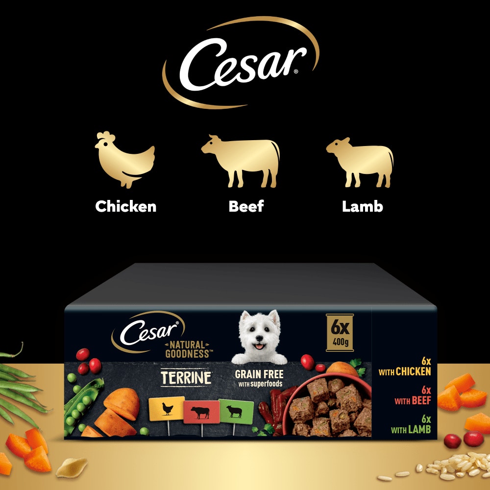 CESAR® NATURAL GOODNESS™ Grain Free Wet Dog Food Tins in Loaf - 5