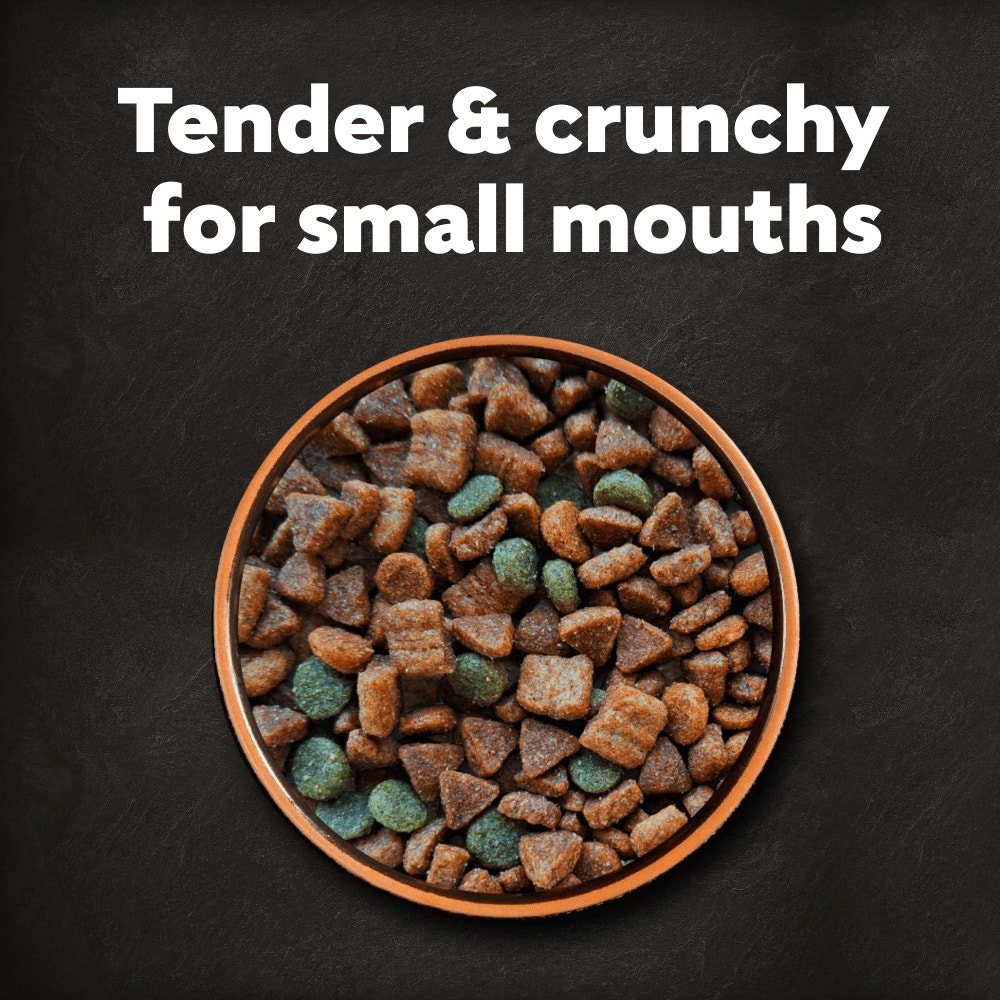 Cesar Dog Complete Dry with Chicken, Salmon and Vegatables 7kg, 1.4kg - 2