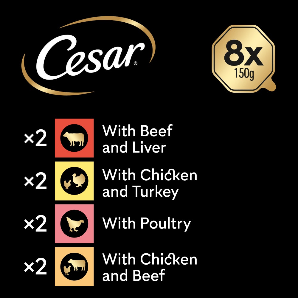 CESAR® Classic Terrine Variety Pack, Tray - 6