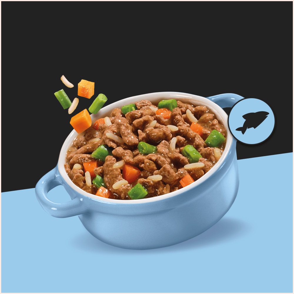 Cesar Country Stew Wet Dog Food tray Fish,Beef & Chicken in Gravy 8 x 150g - 2