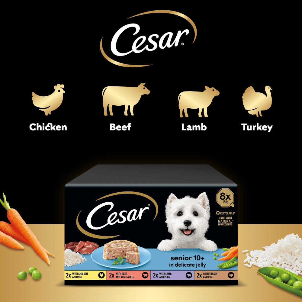 CESAR® Senior Wet Dog Food Trays Meat in Delicate Jelly 8 x 150g - 5
