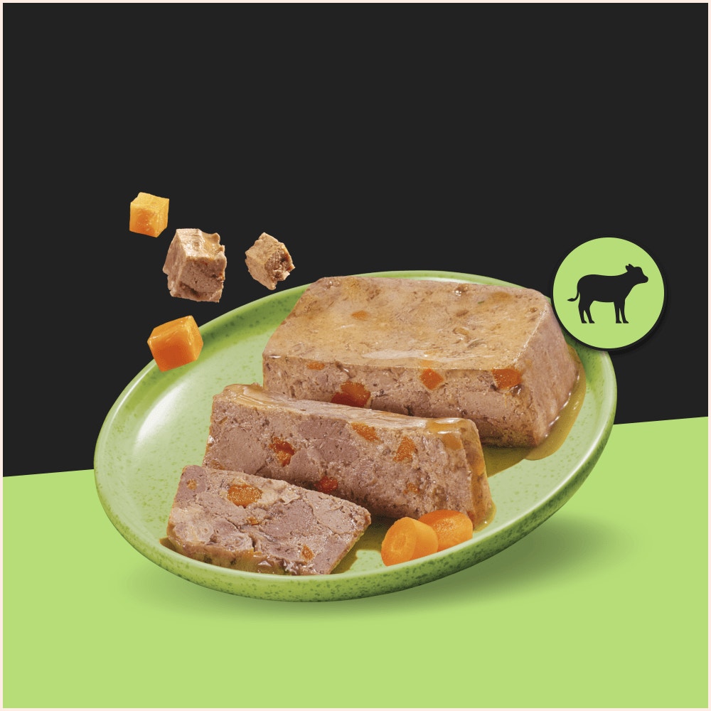 Cesar Garden Terrine Wet Dog Food tray Beef,Lamb,Poultry,Game Loaf 8 x 150g - 2