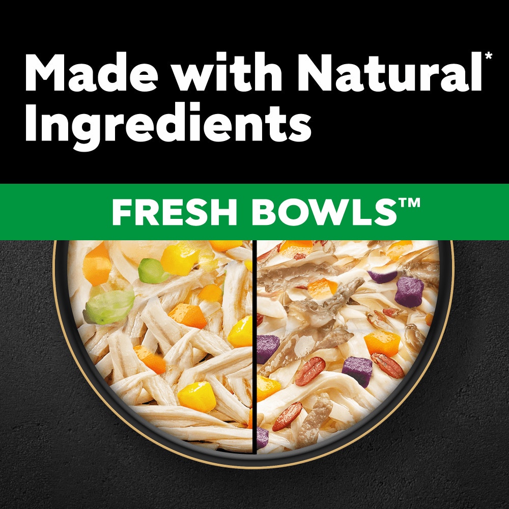 CESAR® Fresh Bowl Adult Dog Chicken & Duck Taster Multipack 6x85g - 2