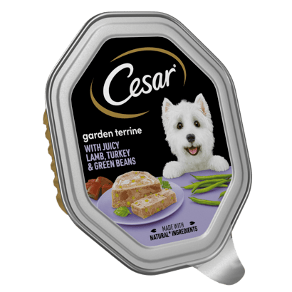 Garden Terrine Dog Food Tray Lamb, Turkey & Green Beans in Loaf