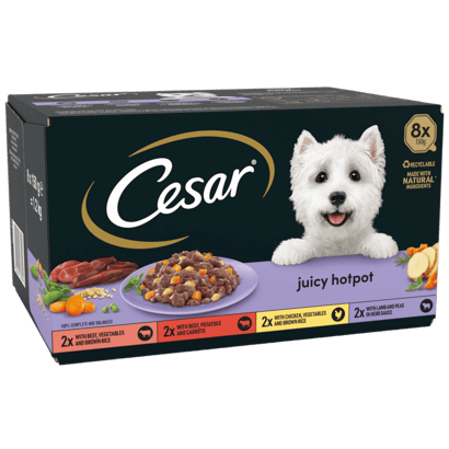 Juicy Hotpot Adult Wet Dog Food Trays Mixed in Gravy