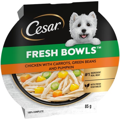 Fresh Bowl Adult Dog with Chicken, Carrots, Beans, Pumpkin in Gravy