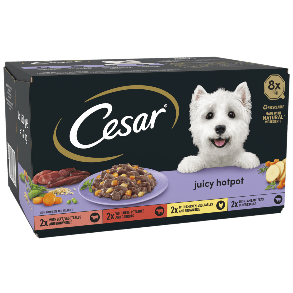 Cesar package